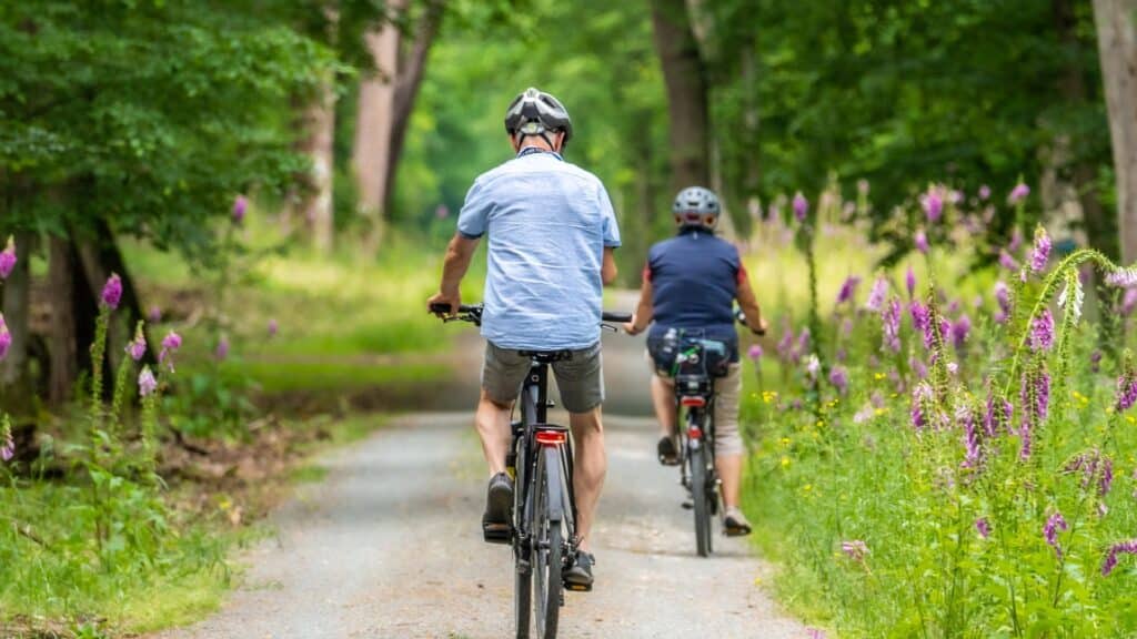 accueil vélo