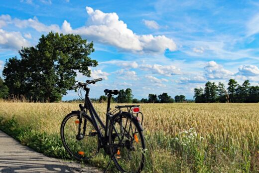 Engagement Écoresponsable et Partenaire Accueil Vélo