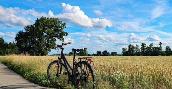 Accueil Cyclo Tourisme au Camping Le Haras