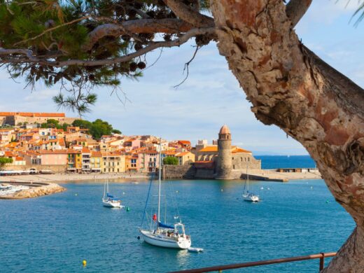 clocher de Collioure avec vue sur la mer activités incontournables