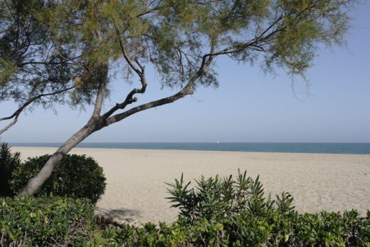 La Côte Catalane : entre plages de sable et falaises rocheuses