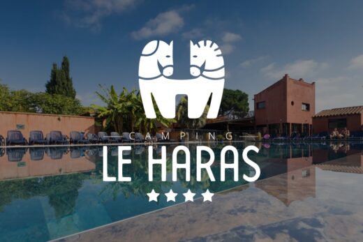 ⭐Du nouveau au Haras⭐