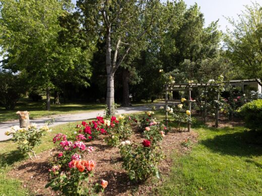Our environmentally-friendly approach, lush flora and preserved biodiversity