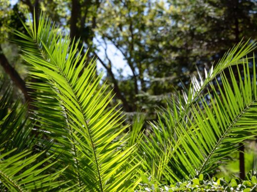 Help us protect this precious environment