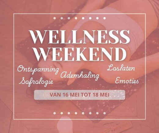 Focus&#x20;op&#x20;het&#x20;wellnessweekend&#x20;op&#x20;Camping&#x20;Le&#x20;Haras