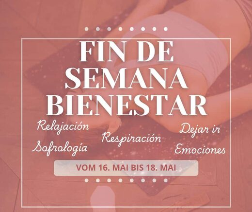 Zoom&#x20;sobre&#x20;el&#x20;fin&#x20;de&#x20;semana&#x20;bienestar&#x20;en&#x20;el&#x20;Camping&#x20;Le&#x20;Haras