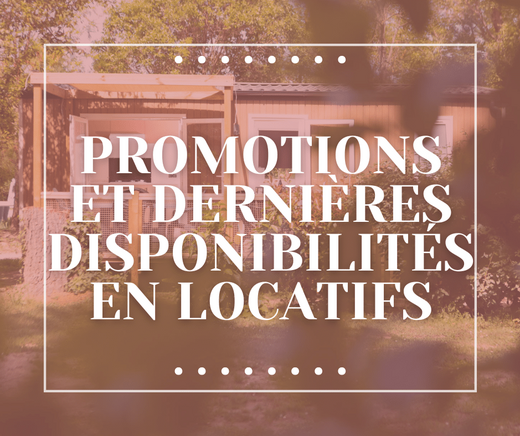 Zoom&#x20;sur&#x20;les&#x20;promotions&#x20;&amp;amp&#x3B;&#x20;disponibilit&#x00E9;s&#x20;en&#x20;locatifs&#x20;au&#x20;Camping&#x20;Le&#x20;Haras&#x20;&#x1F31E;