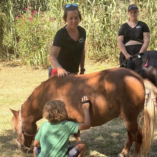 Equestrian activities: discovery and introduction between the sea and the mountains, near Perpignan